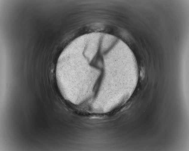X0000083570867200703091635
