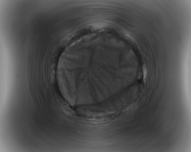 X0000083570868200703091635