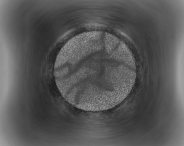 X0000083570870200703091635