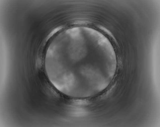 X0000083570874200703091635