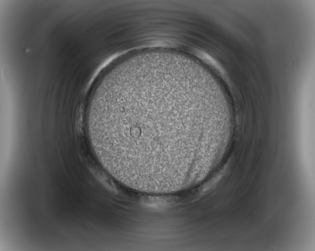 X0000083570875200703091635