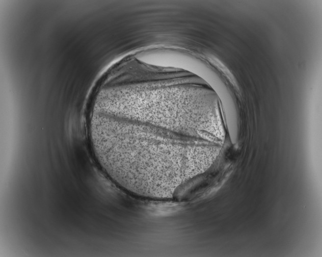 X0000083570876200703091635