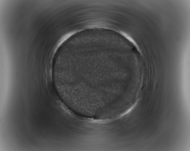 X0000083570877200703091635
