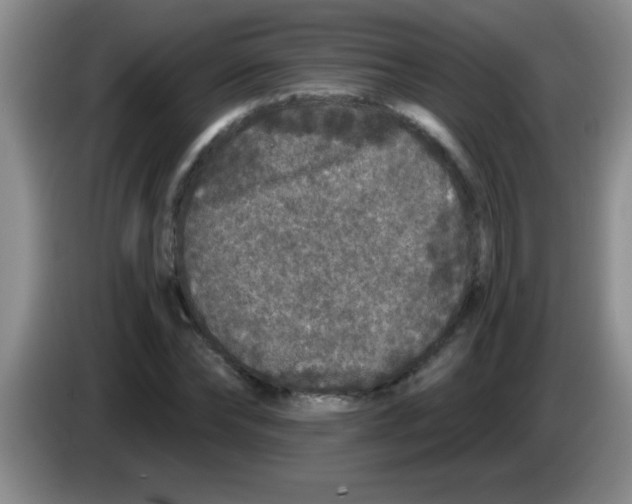 X0000083570878200703091635