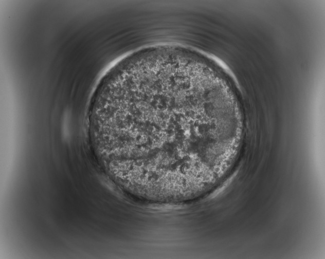 X0000083570879200703091635