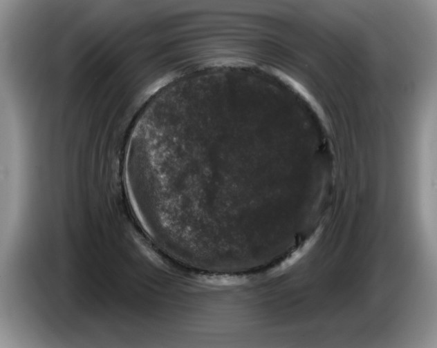 X0000083570881200703091635