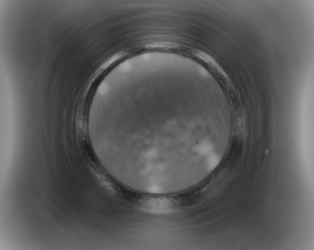 X0000083570882200703091635