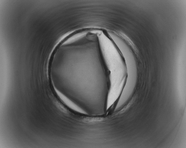 X0000083570884200703091635