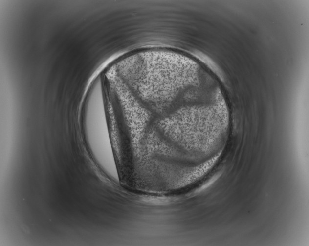 X0000083570885200703091635