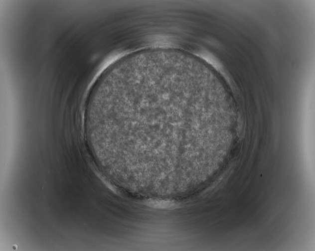 X0000083570886200703091635
