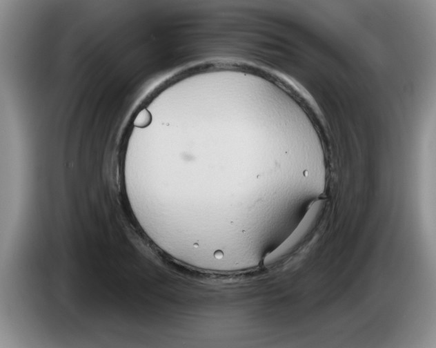 X0000083570887200703091635