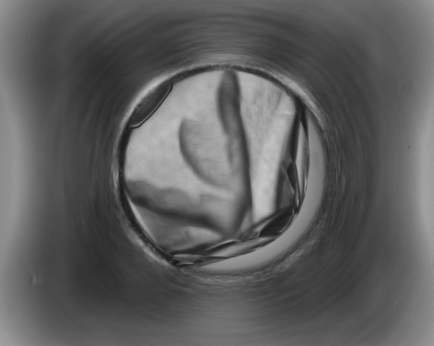 X0000083570888200703091635