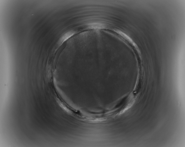 X0000083570889200703091635