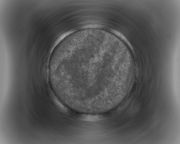 X0000083570890200703091635