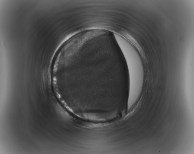 X0000083570892200703091635