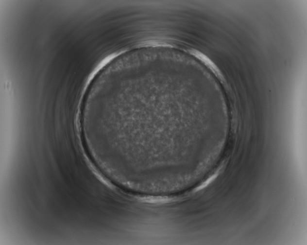 X0000083570893200703091635