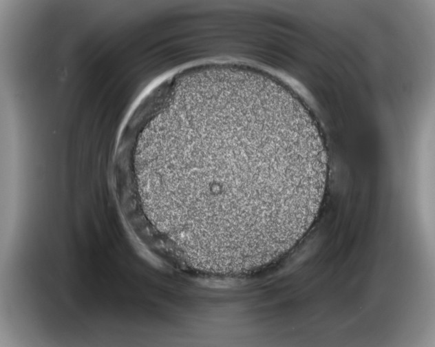 X0000083570895200703091635