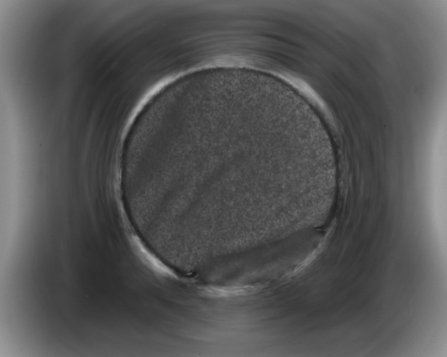 X0000083570896200703091635