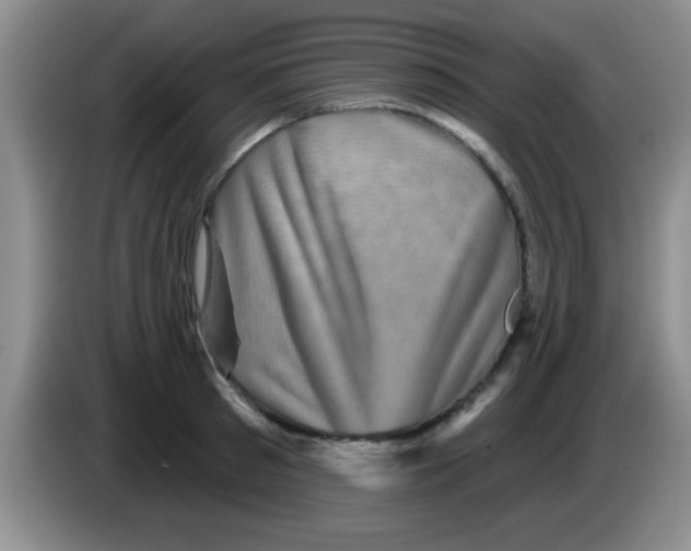 X0000083570897200703091635