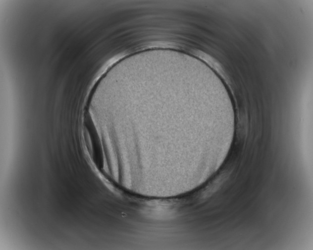 X0000083570898200703091635