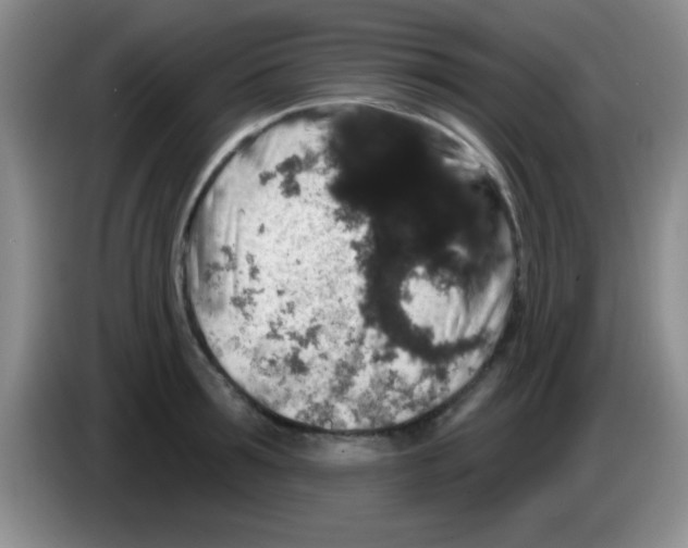 X0000083570899200703091635