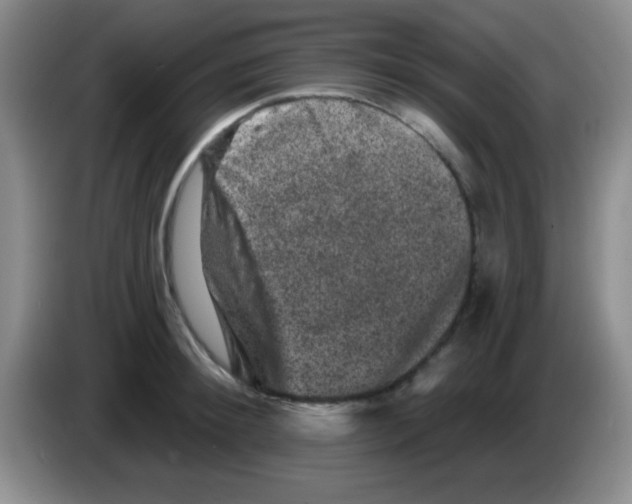 X0000083570900200703091635