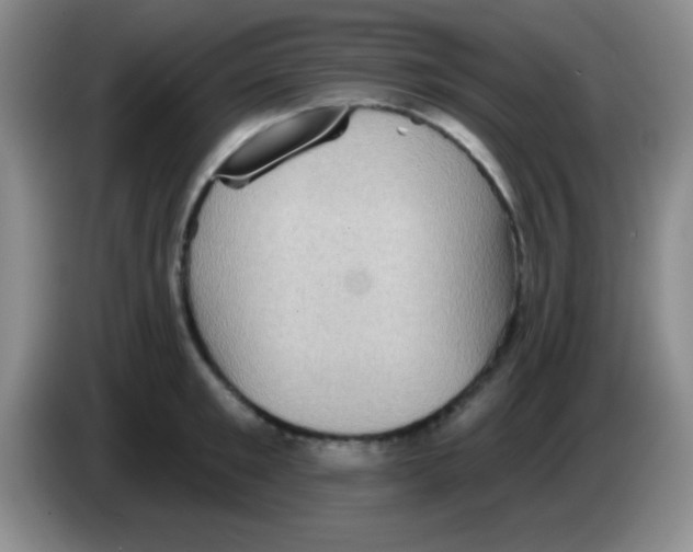 X0000083570901200703091635