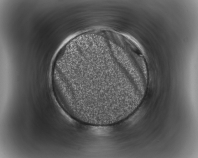 X0000083570902200703091635