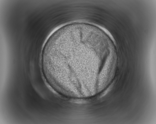 X0000083570903200703091635