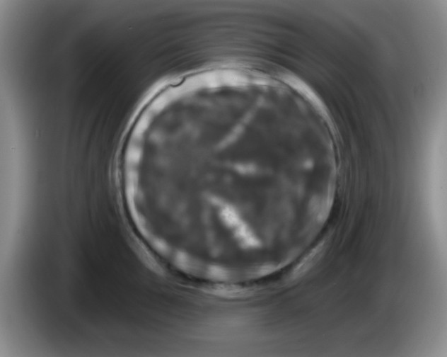 X0000083570907200703091635