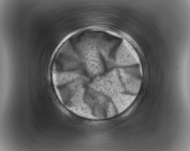 X0000083570908200703091635