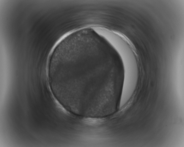 X0000083570910200703091635