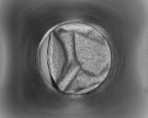 X0000083570912200703091635