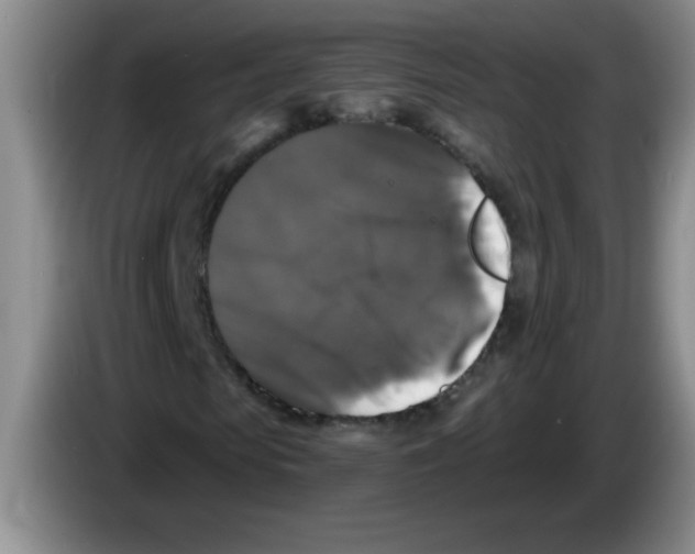 X0000083570913200703091634