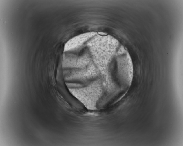 X0000083570914200703091634
