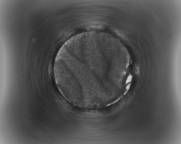 X0000083570915200703091634