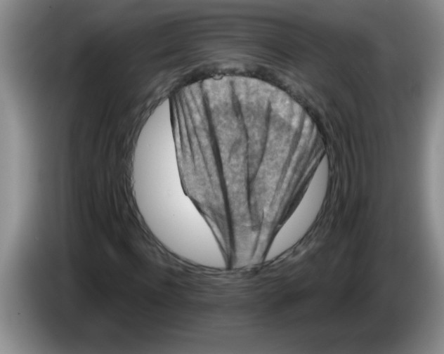 X0000083570916200703091634