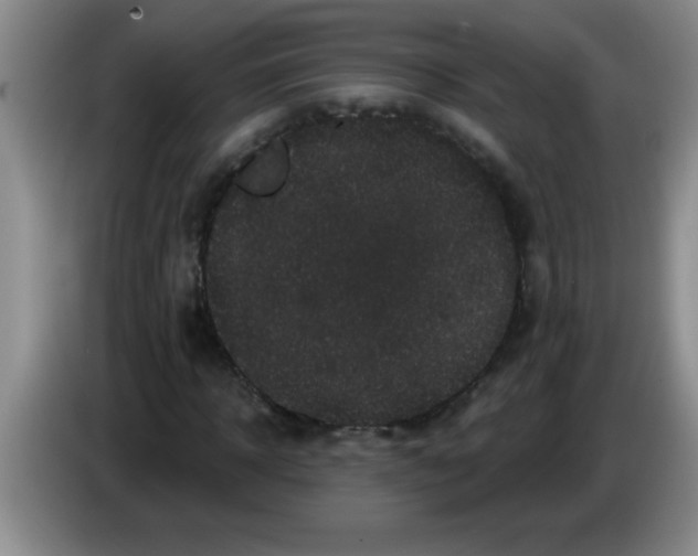 X0000083570918200703091634