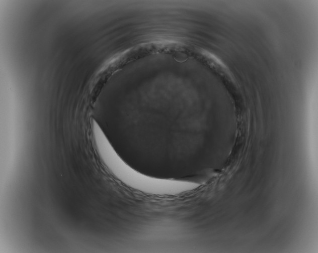 X0000083570919200703091634