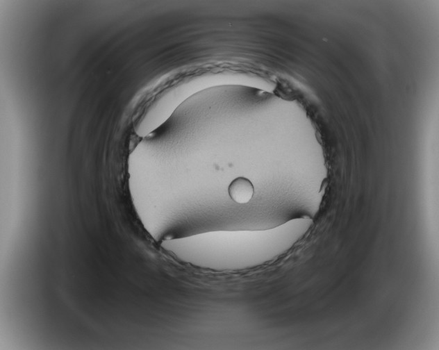 X0000083570920200703091634