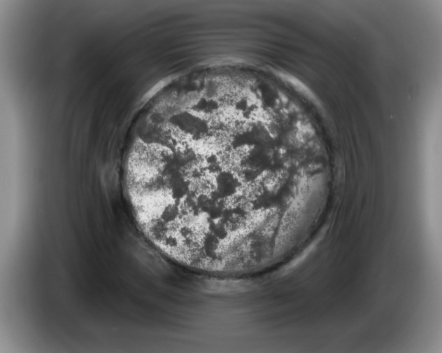 X0000083570921200703091634