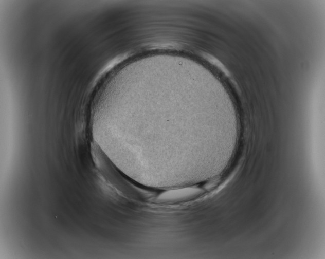 X0000083570922200703091634