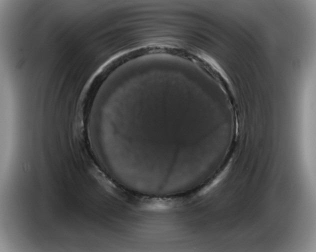 X0000083570923200703091634