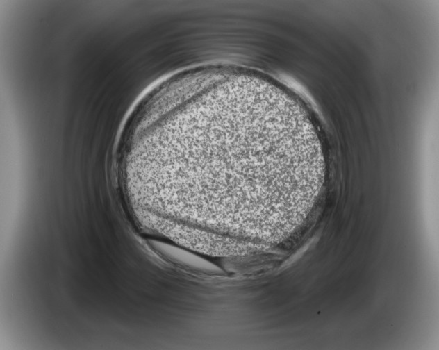 X0000083570924200703091634