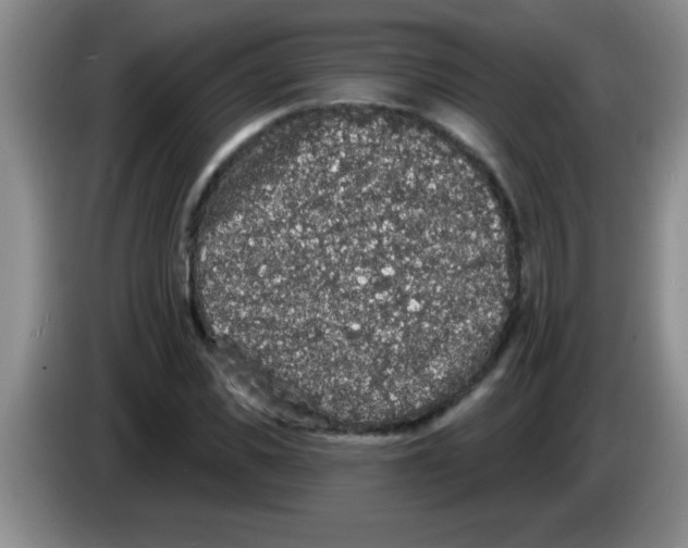 X0000083570925200703091634