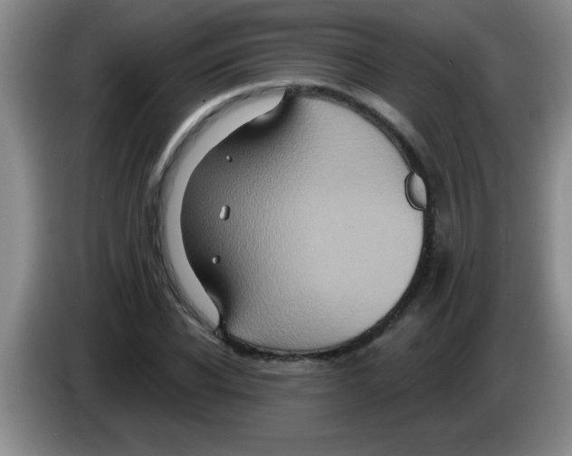 X0000083570926200703091634