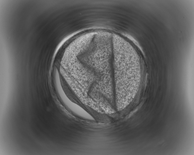 X0000083570928200703091634