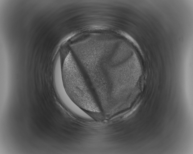 X0000083570930200703091634