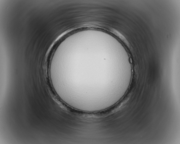 X0000083570931200703091634