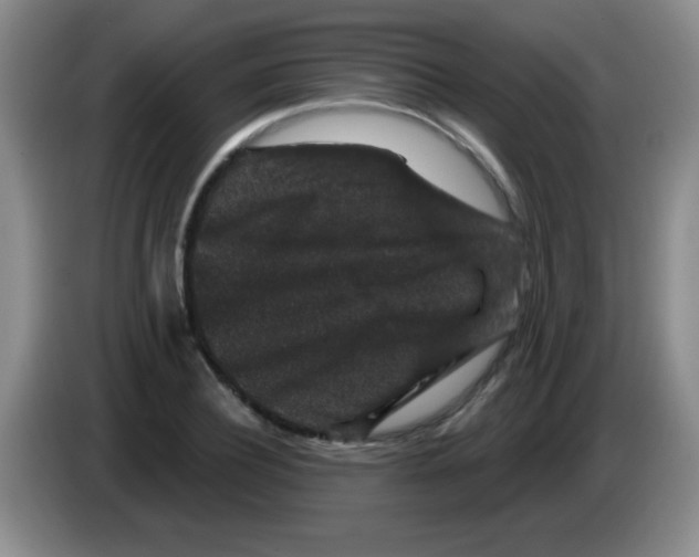 X0000083570932200703091634